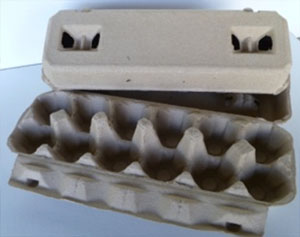 12 Eggs Cartons with Ventilation Holes