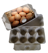 Recycled Labelled Egg Cartons