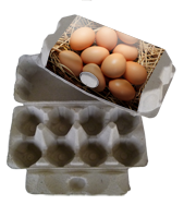 Recycled Labelled Egg Cartons