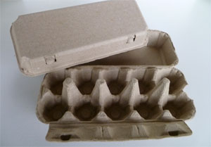 10 Eggs Cartons