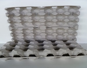 18 Eggs Cartons