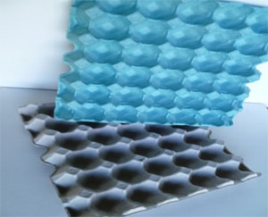 30 Eggs Tray