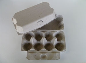 8 Eggs Cartons