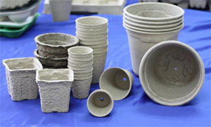 Recycled Cardboard Nursery Pots